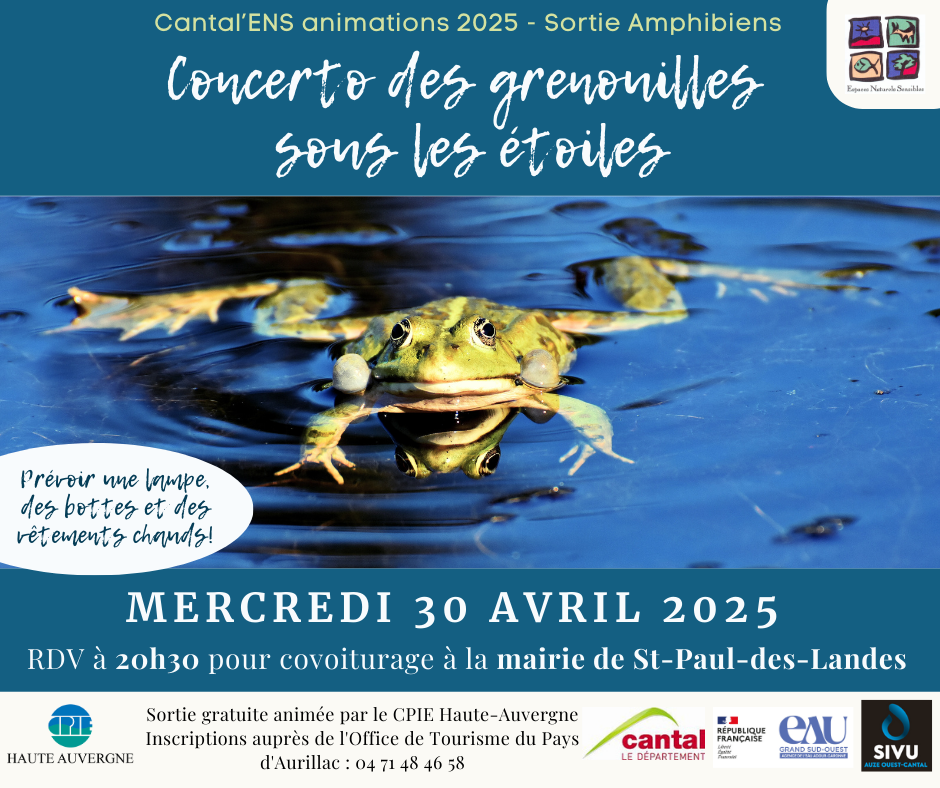 Affiche concerto des grenouilles