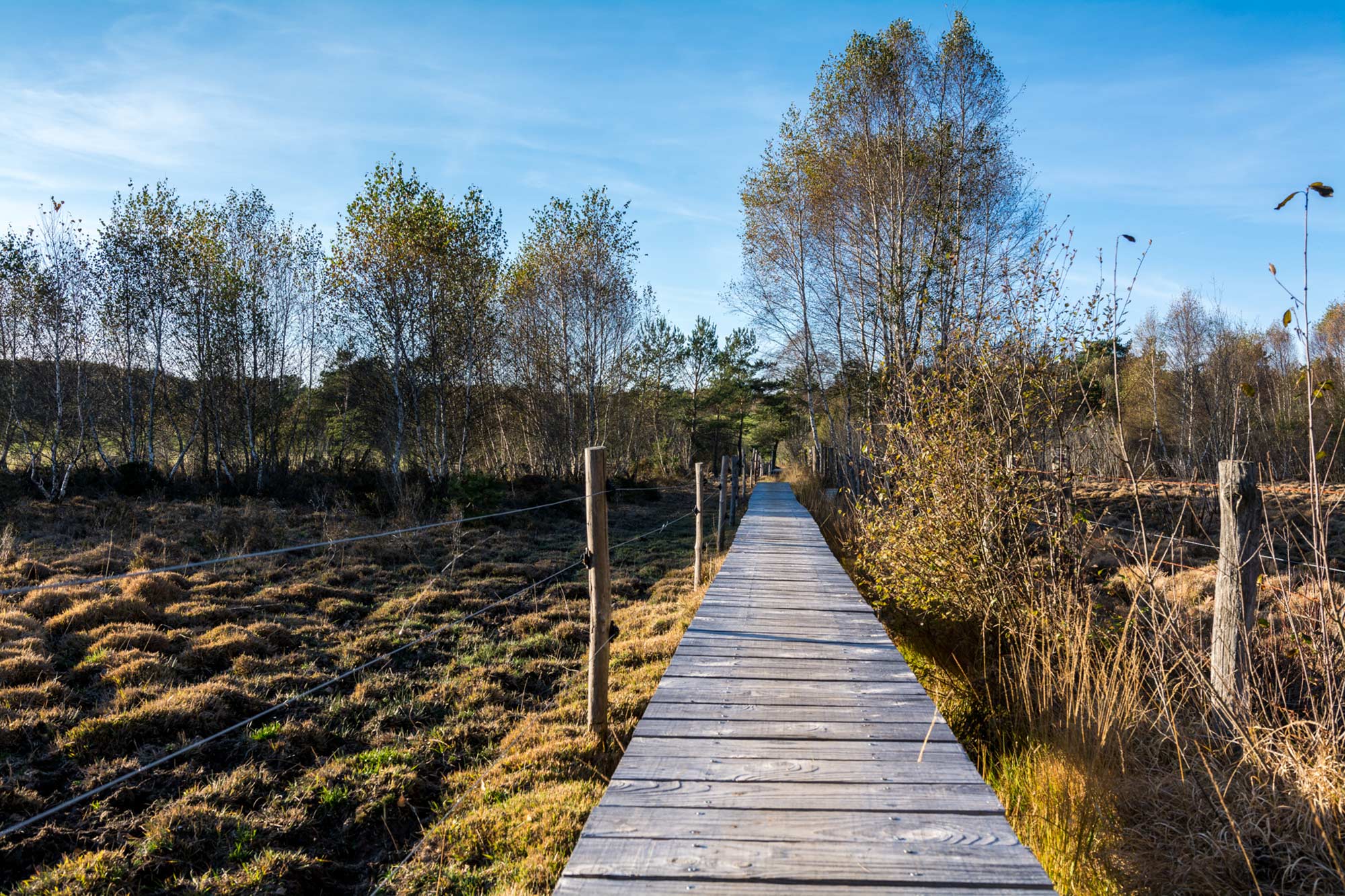 Paysage des Marais du Cassan et de Prentegarde, zone humide prot&eacute;g&eacute;e, situ&eacute;s sur les communes de Lacapelle-Viescamp, Saint-Etienne-Cantal&egrave;s et Saint-Paul-des-Landes dans le Cantal