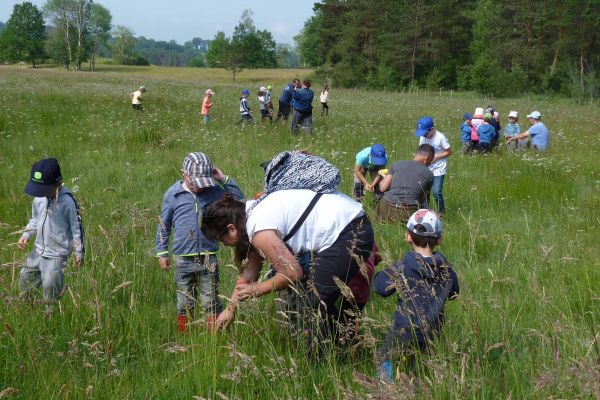Des sorties botaniques sont organis&eacute;es au sein du Marais du Cassan et de Prentegarde