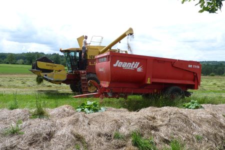 Journée "récolte de semences prairiales"