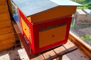 La ruche pédagogique fait peau neuve !