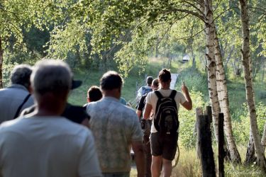Un été sur le Marais